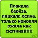 Володимир Кайльпарт-Сапаєв фотография #28 (источник - https://vk.com/id112265770)