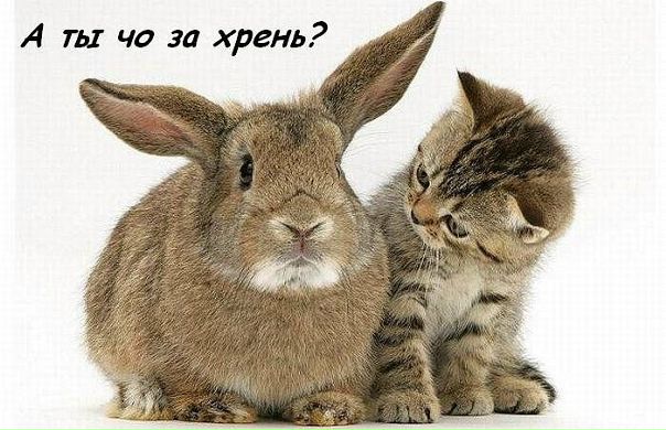 V@silis@ ^ _ ^ фото №4