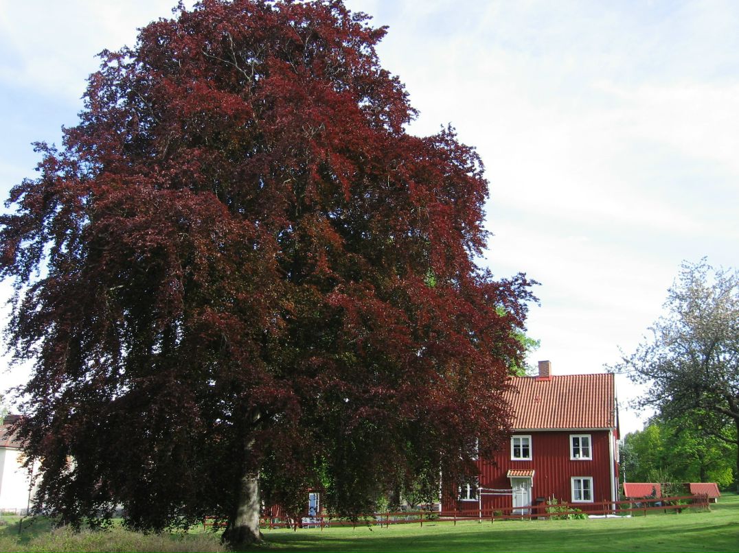 Дмитрий Деркач фотография #11