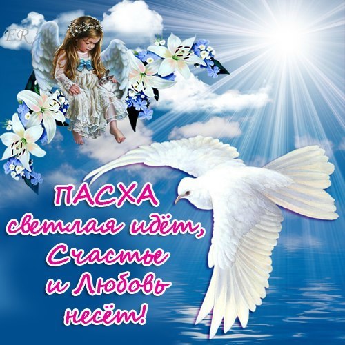 №10, Руслана Канева №10, Руслана Канева