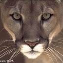 Юлія Кохановська фотография #1