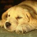 Маріна Потайчук фотография #2 (источник - https://vk.com/id147316322)