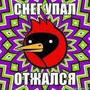 Olya Assty фотография #27 (источник - https://vk.com/id70409322)