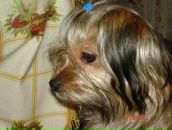 Иван Андреев фотография #24 (источник - https://vk.com/id2534545)