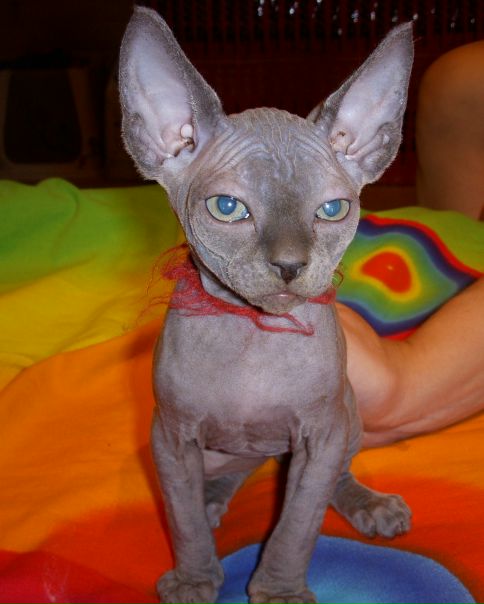 №3, Миша Слесь, Москва №3, Миша Слесь, Москва