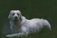 Илья Зыков фотография #29 (источник - https://vk.com/id9055544)