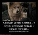 Фотография Кодинцевой Елизаветки