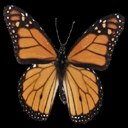 Андрій Руснак фотография #21 (источник - https://vk.com/id169934883)