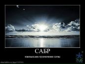 Фарид Мударрис фотография #40 (источник - https://vk.com/id90649712)