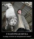 Фарид Мударрис фотография #45 (источник - https://vk.com/id90649712)