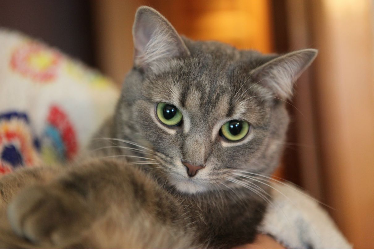 Галина Савельева фотография #3