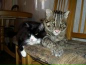 Фотография Пятунина Дмитрия