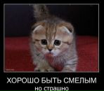 Фотография Мурашева Сергея