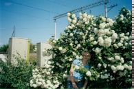 Фотография Моисеевой Олеси