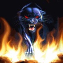 Вітя Мигловец фотография #27 (источник - https://vk.com/id152304057)