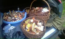 Фотография Блюм (Масеева) Татьяна