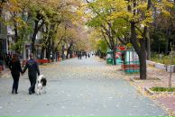 Emil Yasenov фотография #8 (источник - https://vk.com/id93667573)