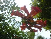 Иван Кузнецов фотография #27 (источник - https://vk.com/id98103)