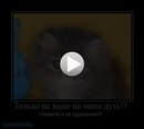 Іванка Липка фотография #1