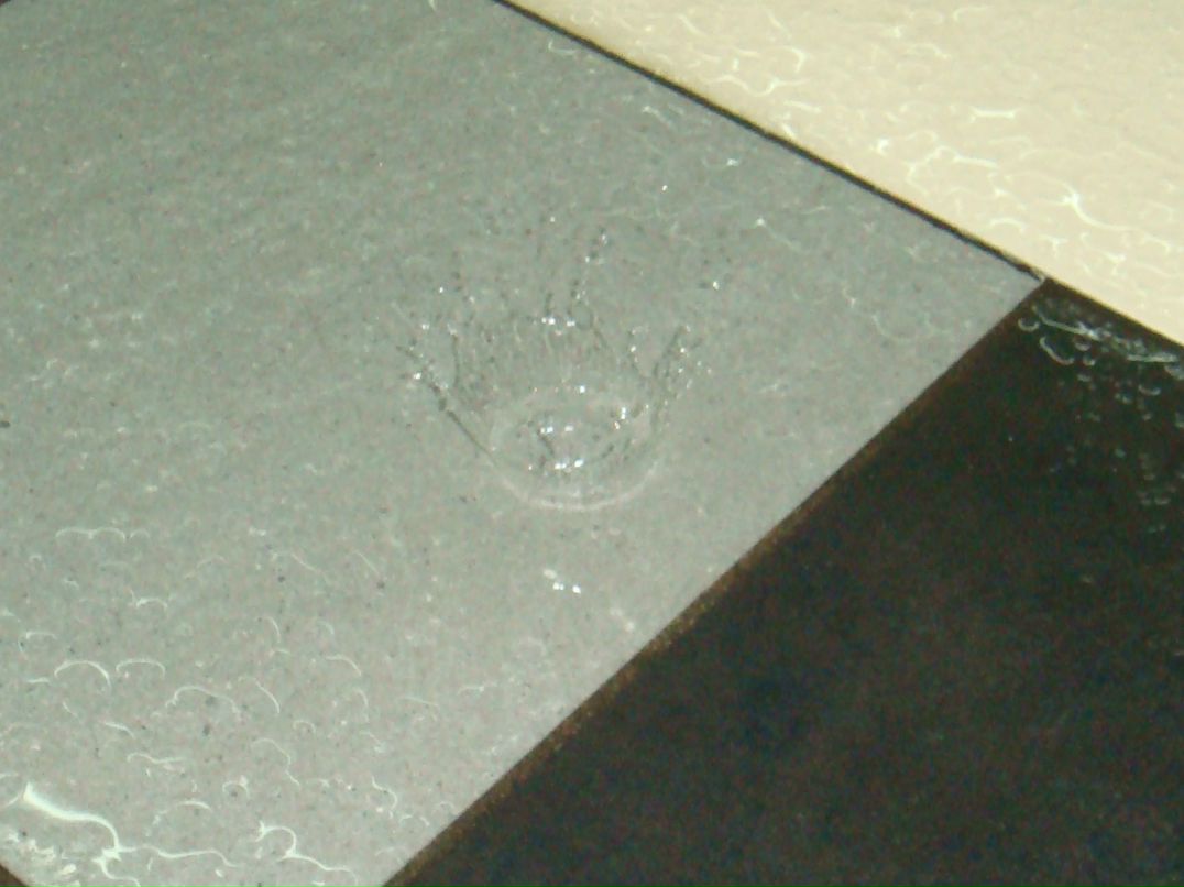 Александр Яковчук фотография #35