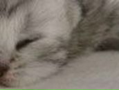 Настя Передерий фотография #40 (источник - https://vk.com/id166318049)