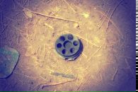 Олексій Галський фотография #33 (источник - https://vk.com/id8799598)