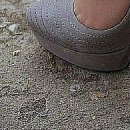 Іруся Костецька фотография #31 (источник - https://vk.com/id133052785)