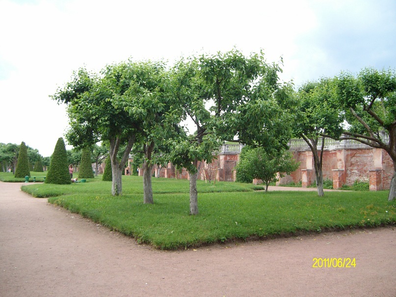 Венера Дмитриева фотография #37