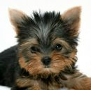 Лілюсік)))) Лазарук*) фотография #33 (источник - https://vk.com/id153656972)