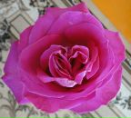 Фотография Киналь Натальи