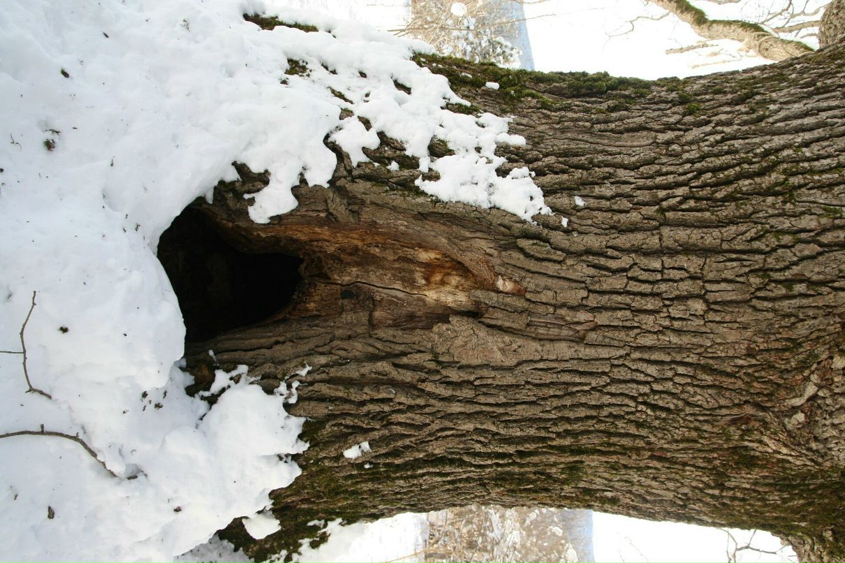 Дмитрий Нестеров фотография #46