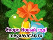 Фотография Другакова Антона