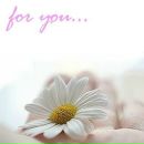 Арішка Магомаєва фотография #33 (источник - https://vk.com/id150855521)