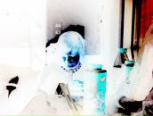 Им Cтранник фотография #10 (источник - https://vk.com/id3478688)