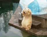 Фотография Лебедева Сергея