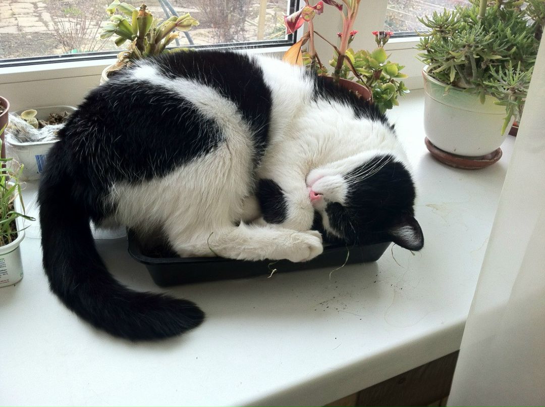 Александр Елетин фотография #15