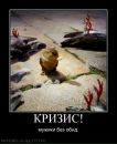 Владік Голод фотография #37 (источник - https://vk.com/id110295605)