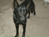 Вадім Духневіч фотография #18 (источник - https://vk.com/id138305161)