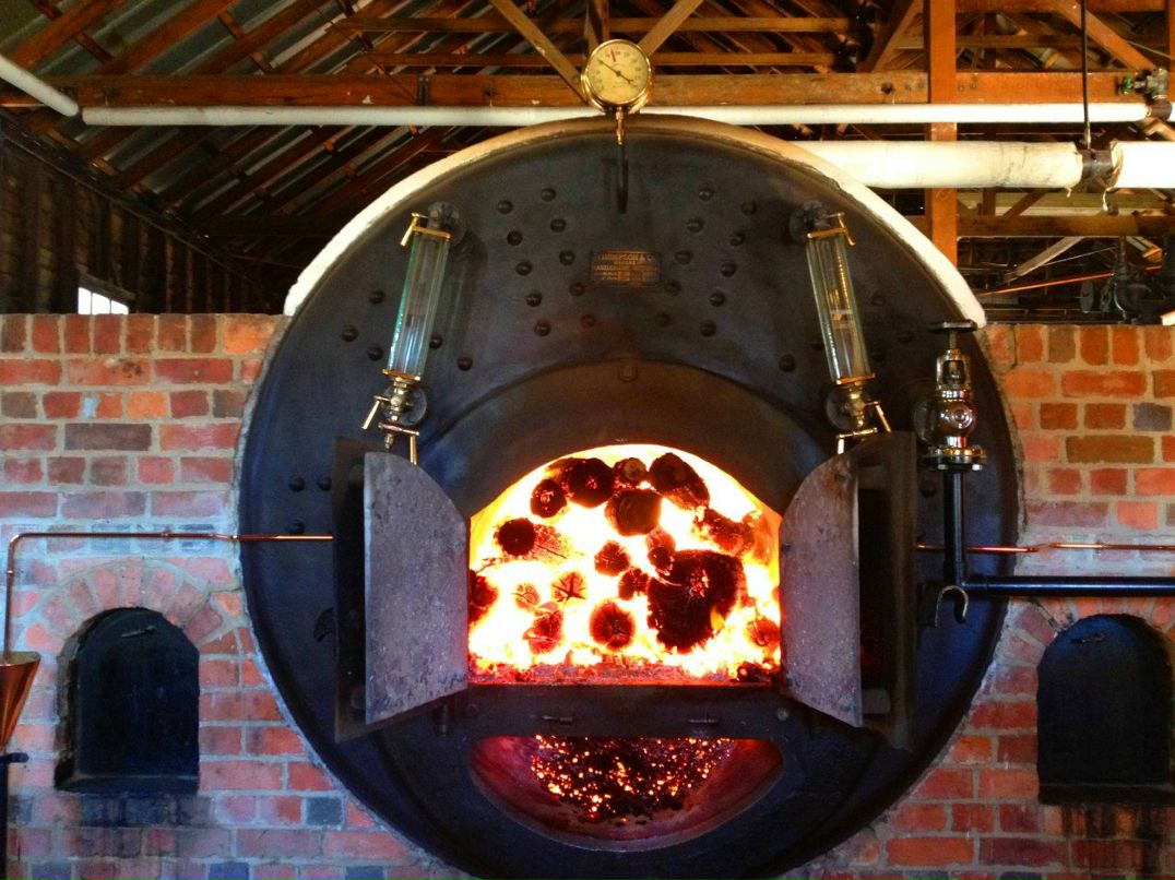 Слава Щербаков фотография #32