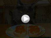 Іван Марценюк фотография #18 (источник - https://vk.com/id24344123)
