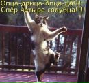 Фотография Силуянов Юрий