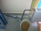 Лев Григорьев фотография #15 (источник - https://vk.com/id1932203)