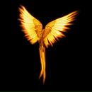 Жанна Неважно фотография #41 (источник - https://vk.com/id156495437)