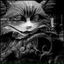 Фотография Груль Юлианы