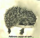 Діма Яценко фотография #16 (источник - https://vk.com/id12352602)