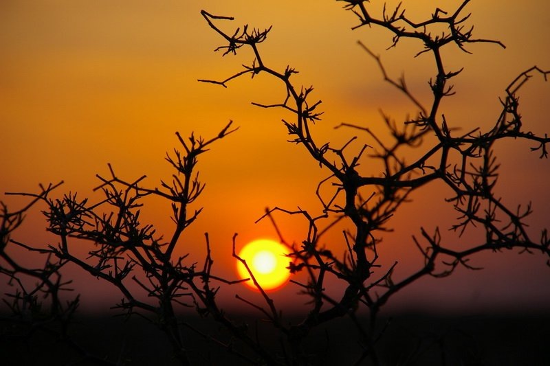 @barsa@ ^_^ фотография #40