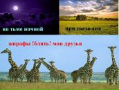 Галя Коробій фотография #48 (источник - https://vk.com/id18211323)