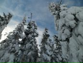 Олександр Лісовий фотография #41 (источник - https://vk.com/id22697210)