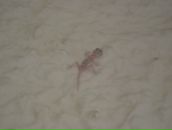 Фотография Павленко Татьяны