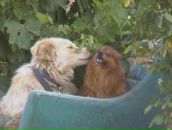 Сергій Петров фотография #35 (источник - https://vk.com/id92831660)